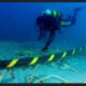 Matenimiento de cables submarinos afectará las telecomunicaciones este domingo