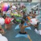 fiesta en piscina en Estados Unidos - ACN