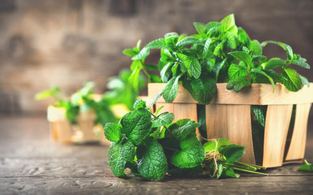 Beneficios del agua de hierbabuena - ACN