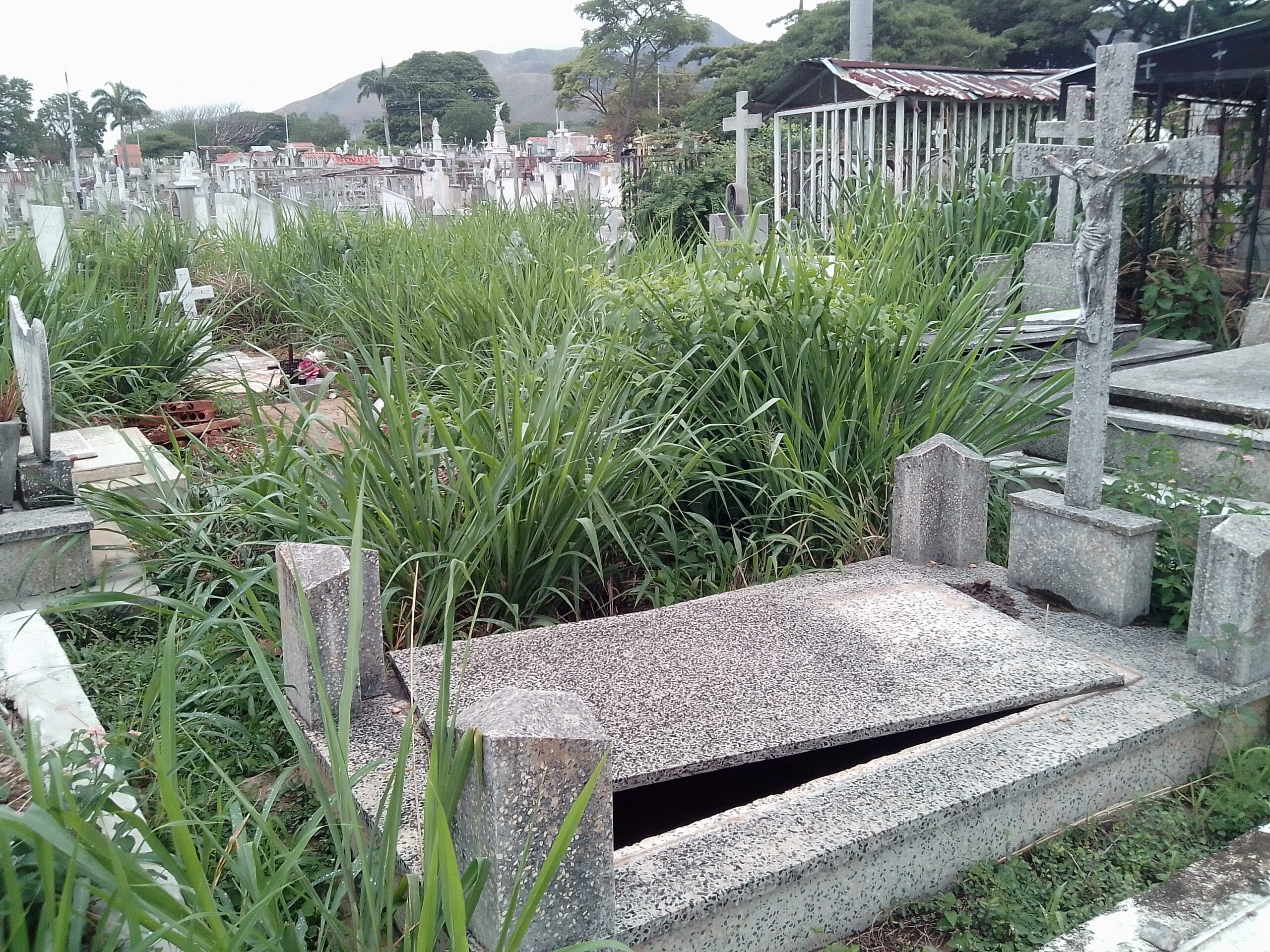 cementerio de valencia abandono- acn