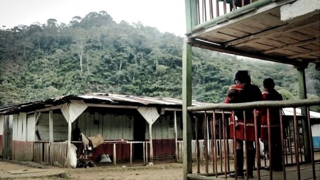 violación niña indígena colombia- acn