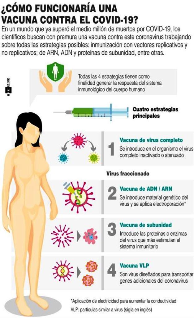 BioNTech espera tener vacuna a fin de año - noticiasACN