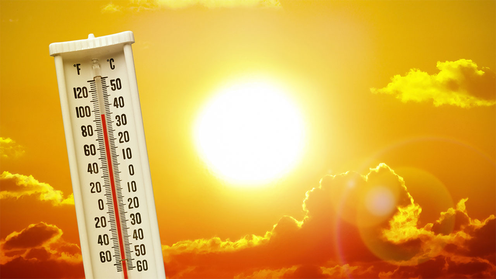 Nuevo estudio sugiere la intensificación de las olas de calor desde 1950