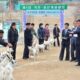 ¡Los prohibió como mascotas! Kim Jong Un ordenó confiscar todos los perros