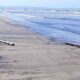 Derrame de petróleo en las playas de Falcón´- ACN