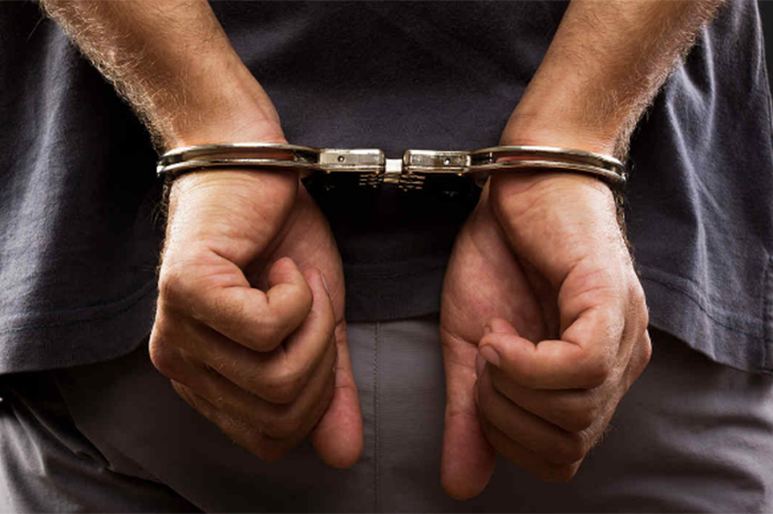 Sujeto es detenido por matar perros