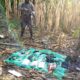 Fallecen dos hombres al tratar de aterrizar avión - noticiasACN