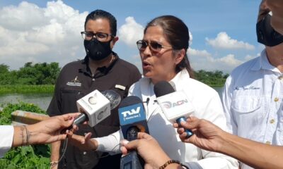 Comisión de Ambiente Lago de Valecia