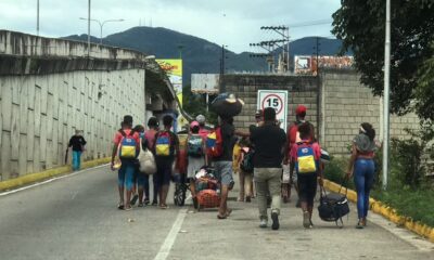 caminantes de venezuela a colombia- acn
