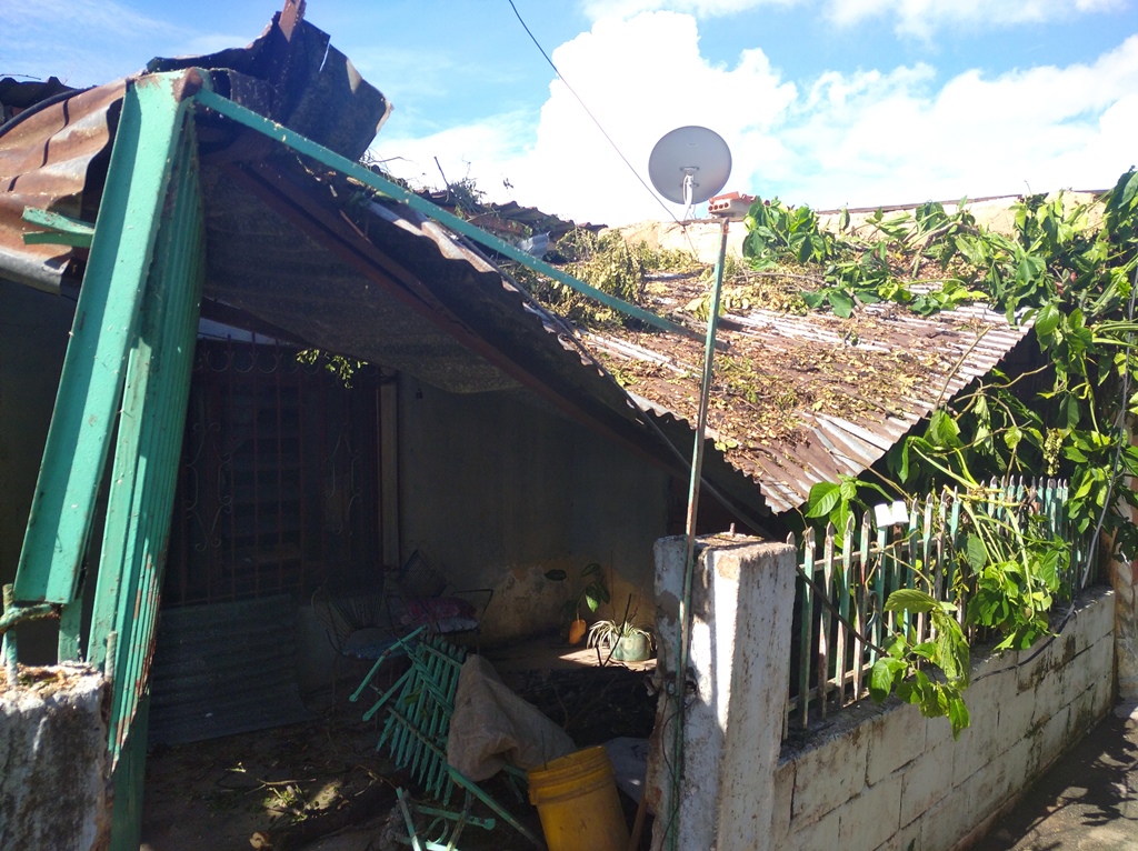 Árbol caído sobre viviendas en Los Guayos