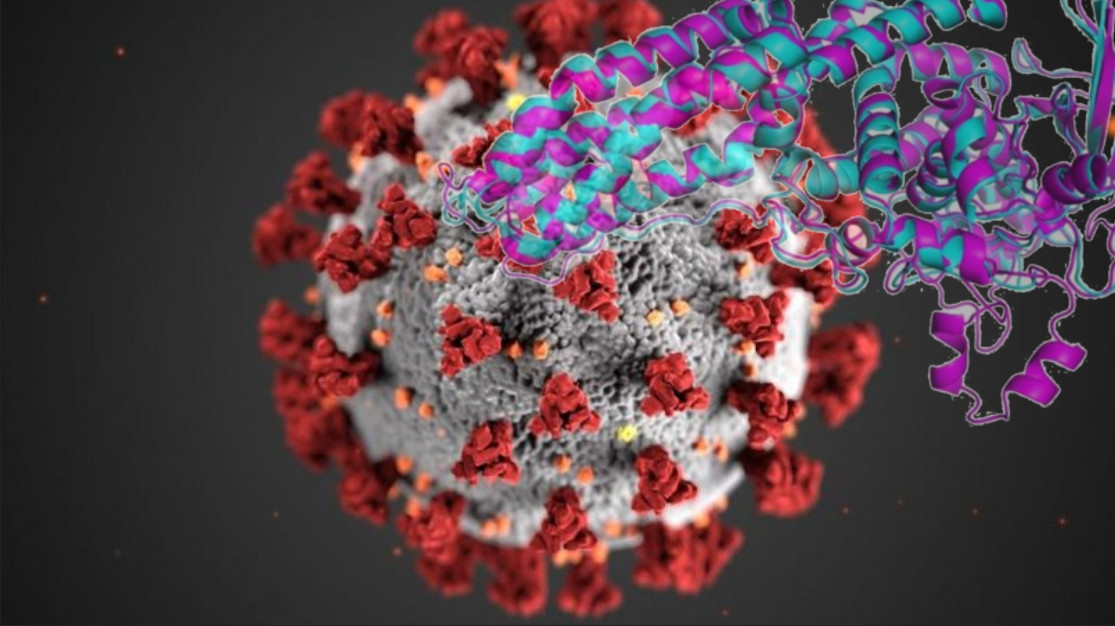 Resuelven gran misterio de la biología utilizando inteligencia artificial