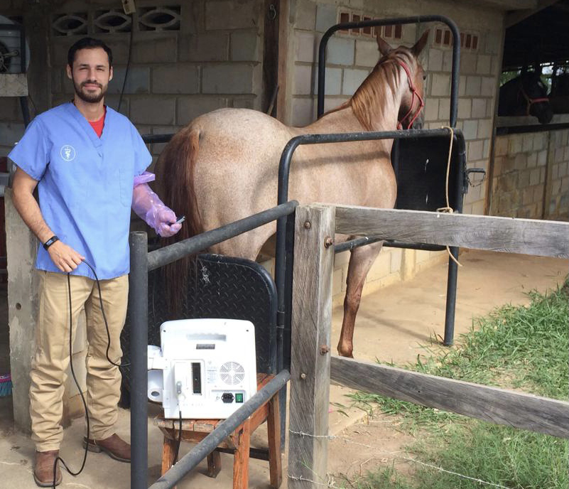 Inseminación Artificial - acn