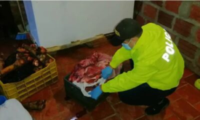 banda carne descompuesta colombia- acn