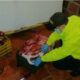 banda carne descompuesta colombia- acn
