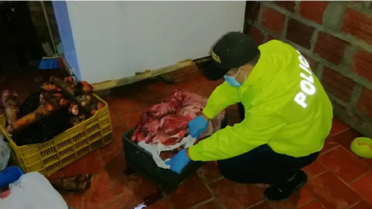 banda carne descompuesta colombia- acn