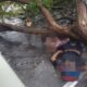 Fallecidos en accidente en Puerto Cabello