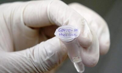 Farmacéuticas a contrarreloj por vacuna - noticiasACN