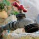 Carabobo sin agua una vez más
