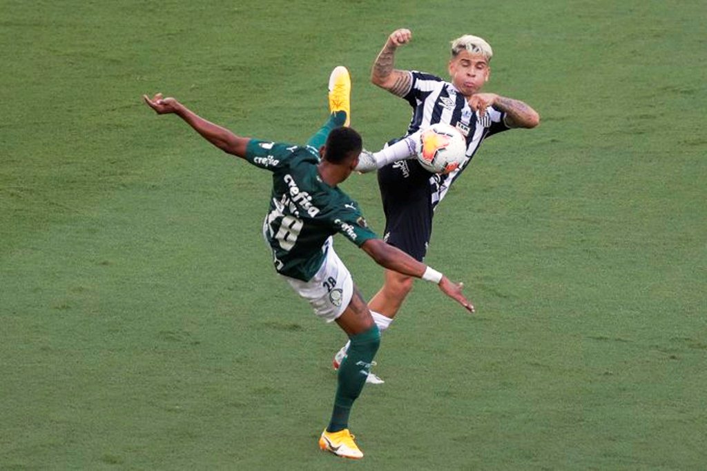 Palmeiras campeón de la Copa Libertadores - noticiasACN