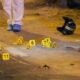 Asesinaron a tiros a un repartidor venezolano