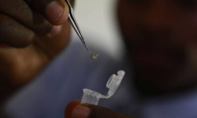 Malaria en Venezuela - ACN
