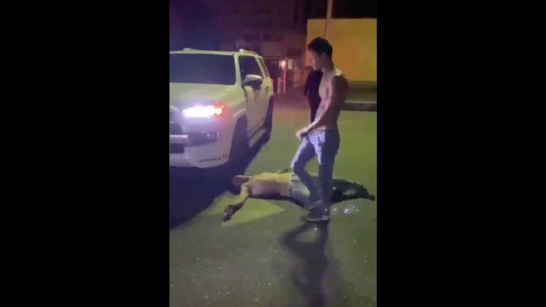 Pelea en club barquisimeto - ACN