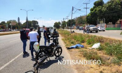 Falleció arrollado señor en la avenida - noticiasACN