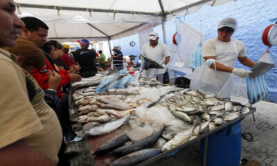 Ferias de pescado en Semana Santa