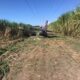 Aterrizaje de emergencia en Carabobo - ACN