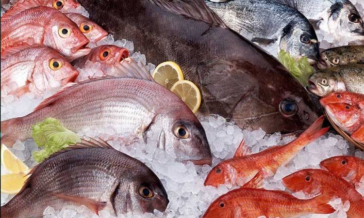 Precio del pescado - ACN