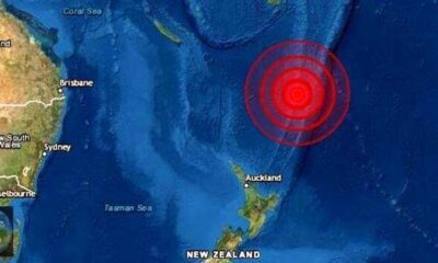 Fortísimo sismo sacude a Nueva Zelanda - notcciasACN