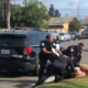 policía california suspendido agresión- acn