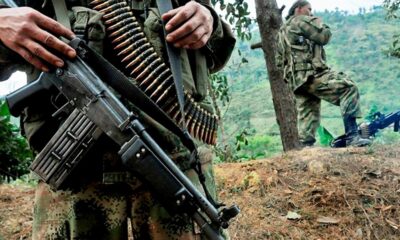 Disidencias de las FARC y ELN - noticiacn
