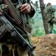 Disidencias de las FARC y ELN - noticiacn