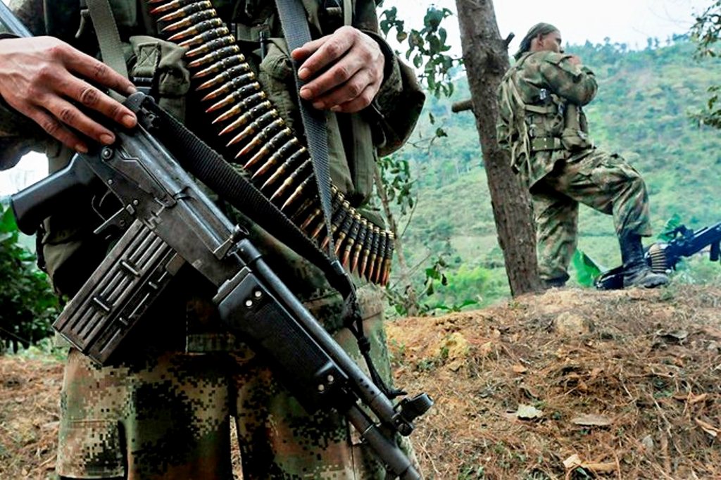 Disidencias de las FARC y ELN - noticiacn