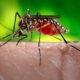 Alerta de brote de paludismo - noticiacn