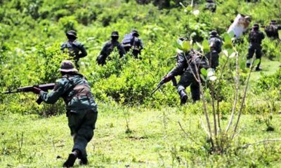 Grupos armados ocupan territorios indígenas - noticiacn