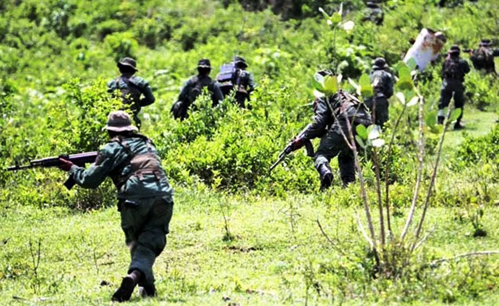 Grupos armados ocupan territorios indígenas - noticiacn