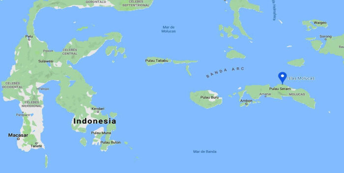 Terremoto en Indonesia