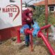 Reactivan pozo de agua en La Isabelica