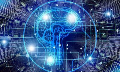 La IA podría detectar demencia - ACN