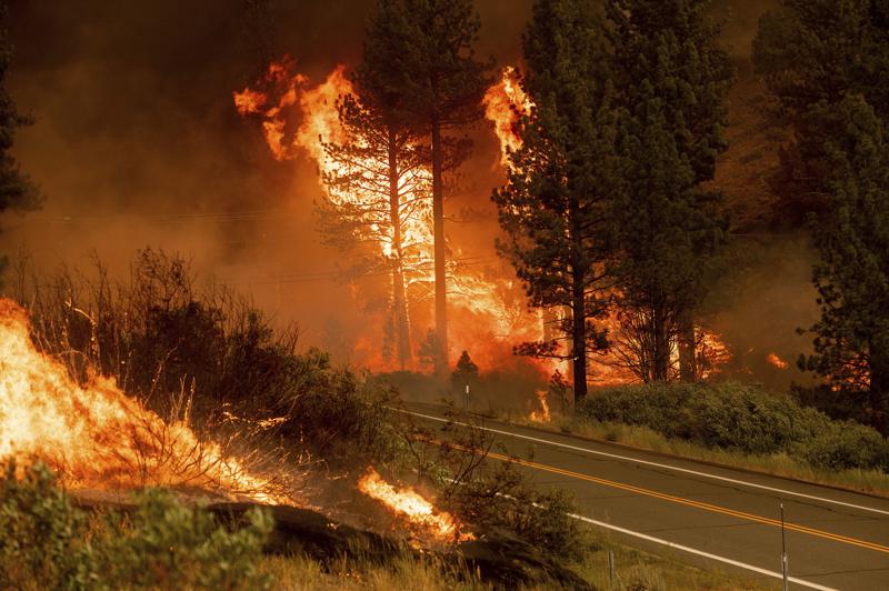 Incendio forestal en California - ACN