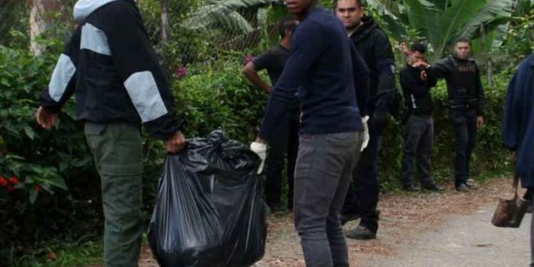 Mutilan y queman a sexagenario