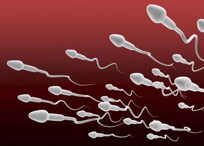 Propiedades del semen