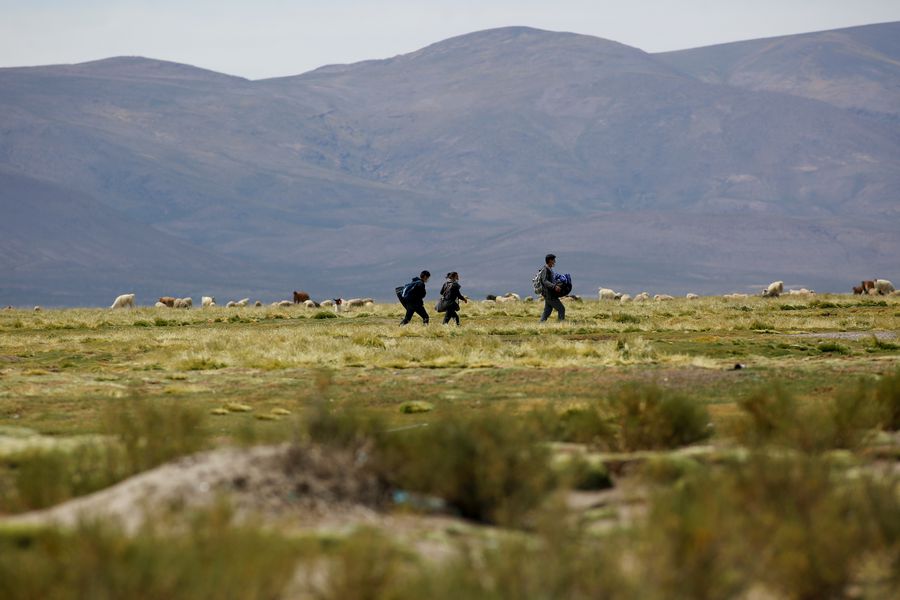 Policía chilena detuvo a sicario venezolano - noticiacn