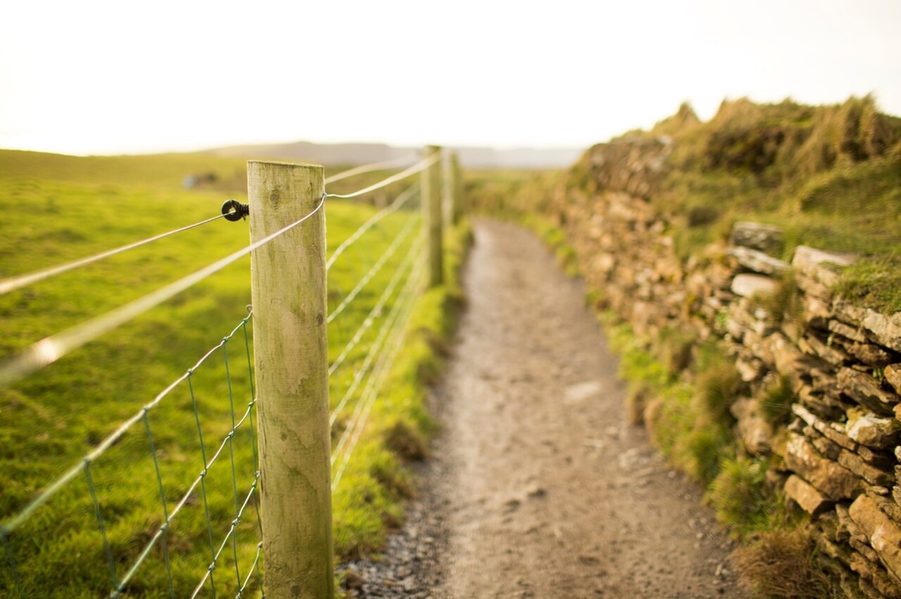 Campo, Depositphotos