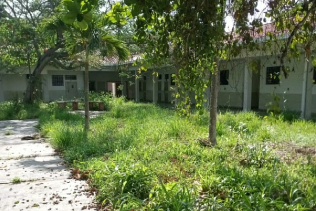 escuela de enfermería uc- acn