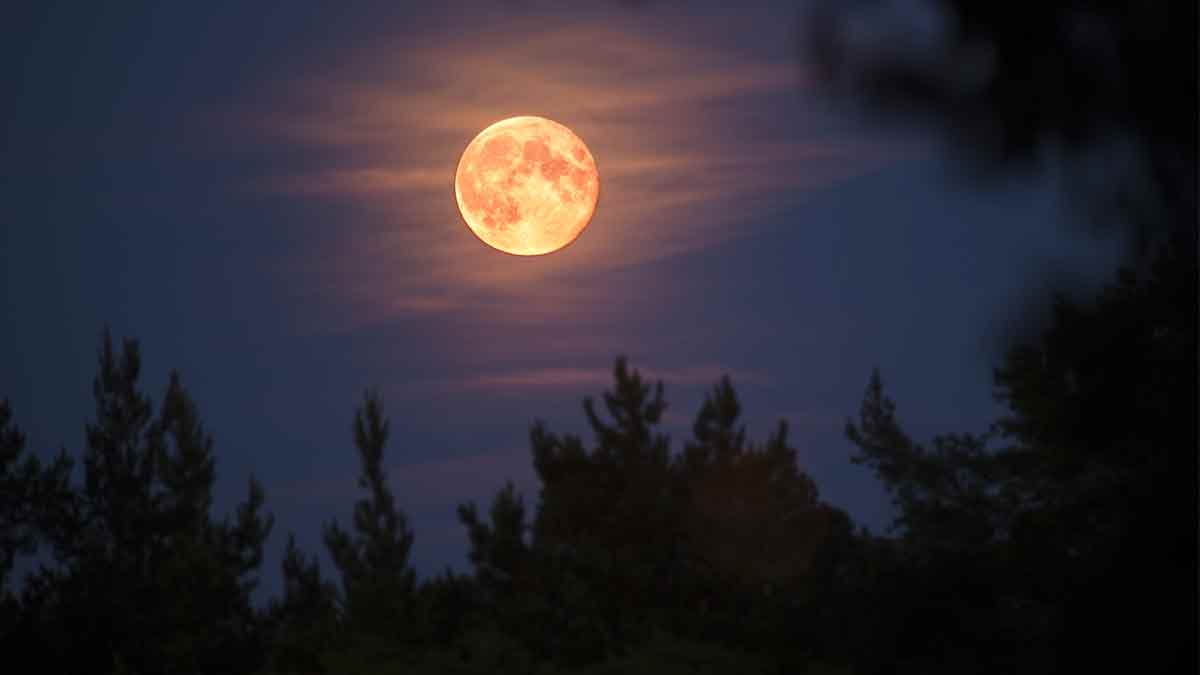 Luna del cazador - ACN