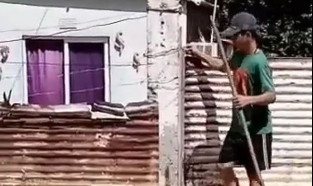 Detenido joven que mató a un perro - ACN