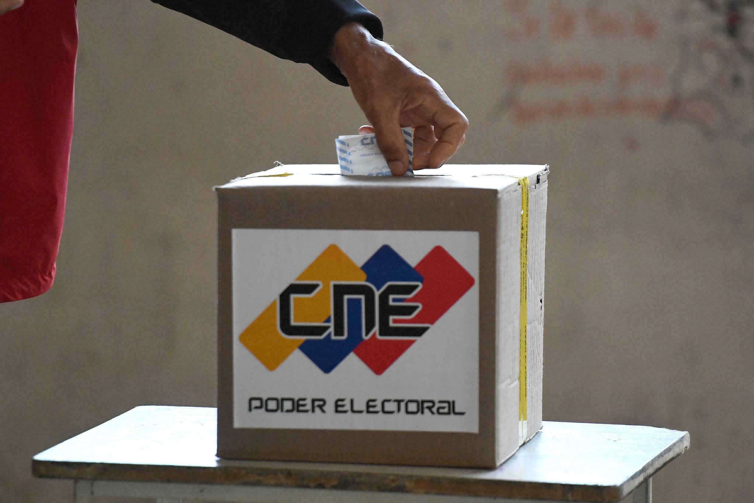 transparencia venezuela recibirá denuncias electorales- acn